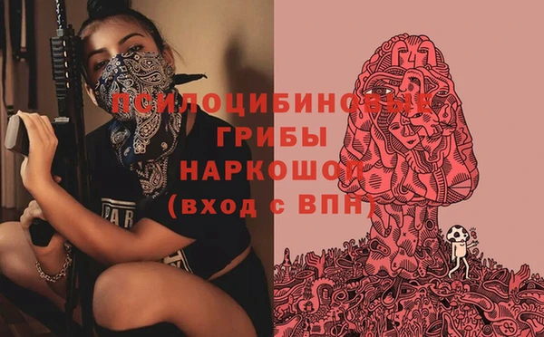 скорость Алзамай
