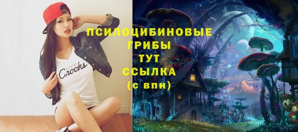 скорость Алзамай