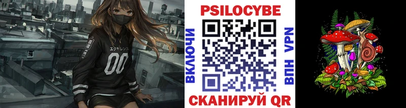 даркнет сайт  Конаково  Галлюциногенные грибы Psilocybe 